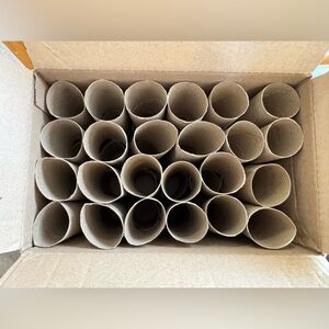 48 empty toilet paper rolls